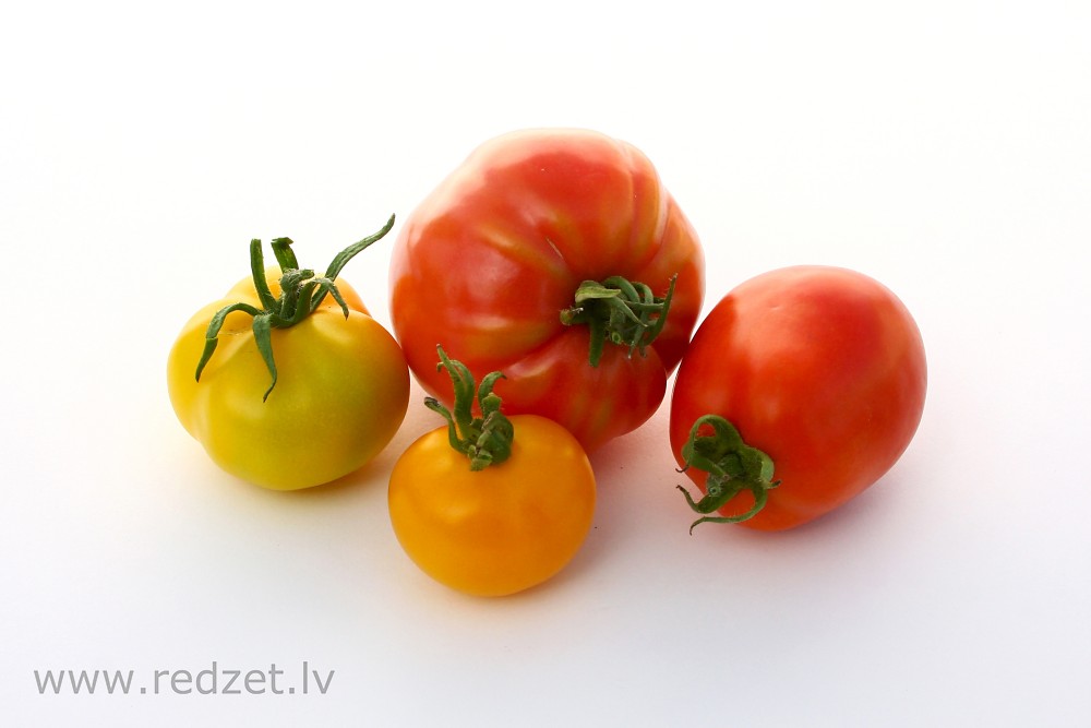 Tomato