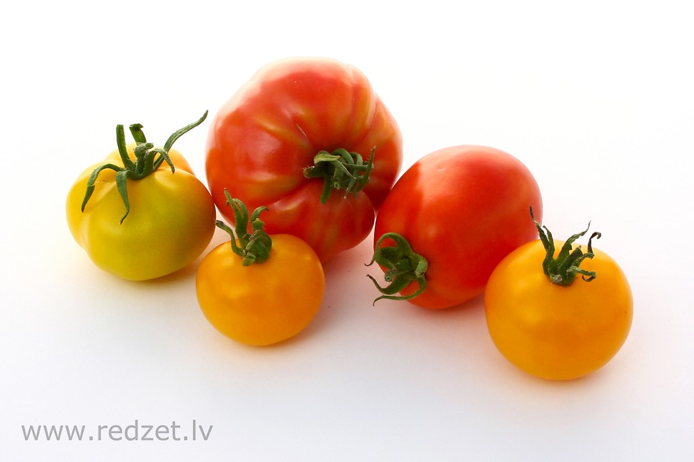 Tomato