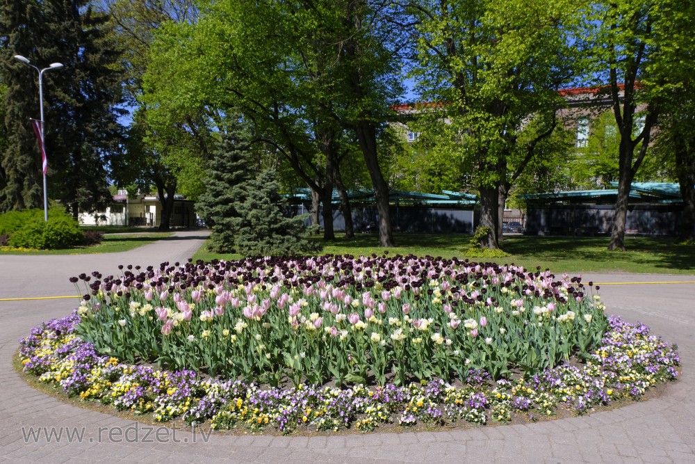 Purple Flower Bed in Vermane Garden