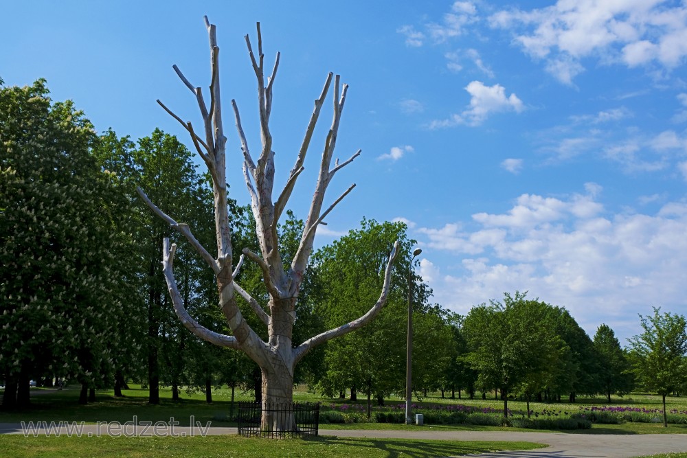 Dižgoba Uzvaras parkā