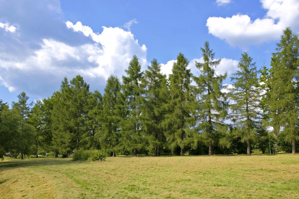 Lapegles Igates muižā Lapegles Igates muižā