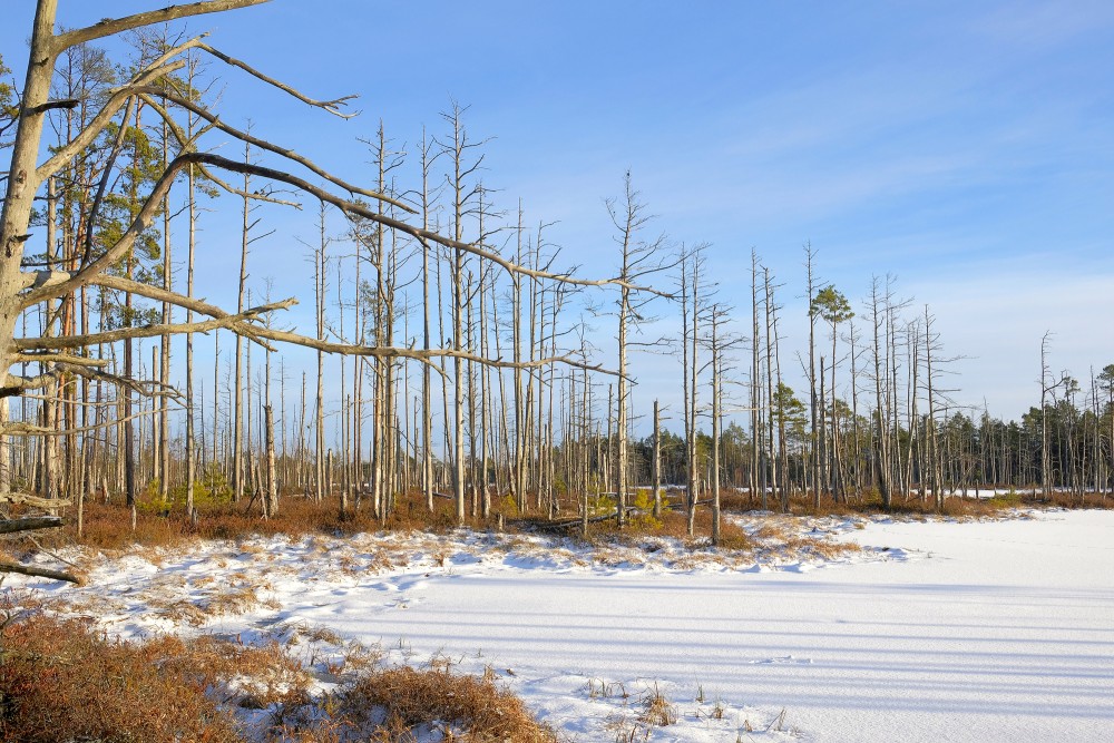 Cena Bog in Winter