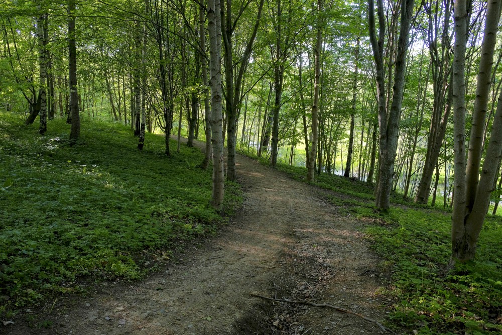 Misiņkalna pastaigu takas