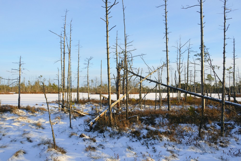 Cena Bog and Lake Skaists  in Winter