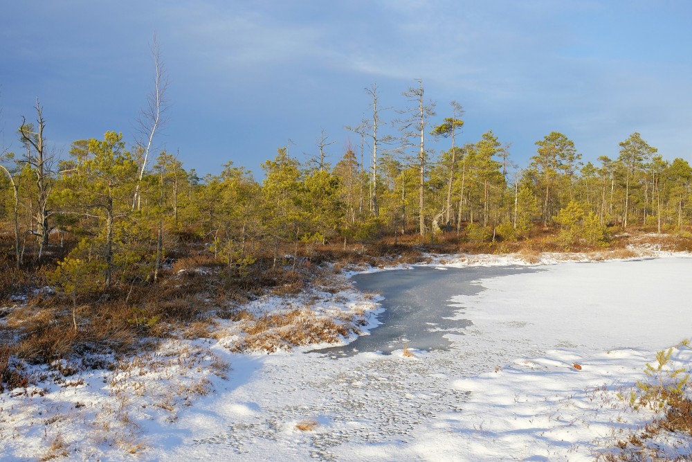 Cena Bog in Winter