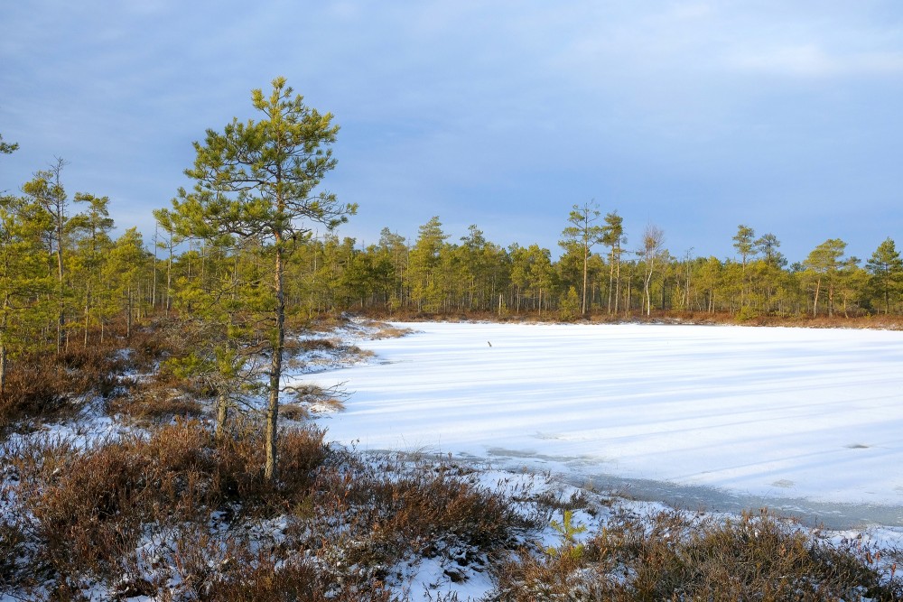 Cena Bog in Winter