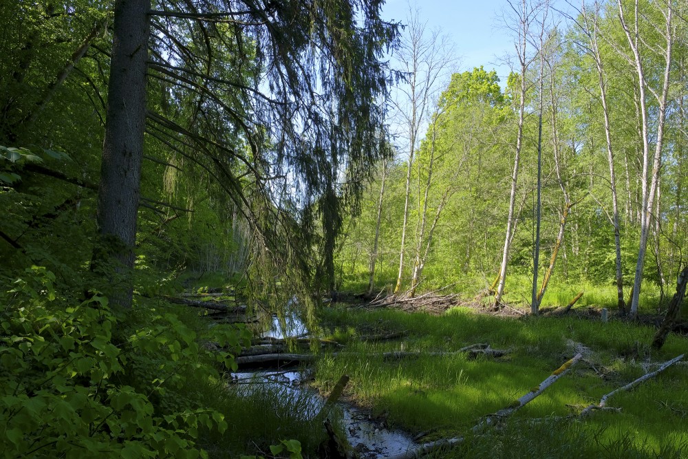 Ejot pa mednieku spēka taku, Inčukalns