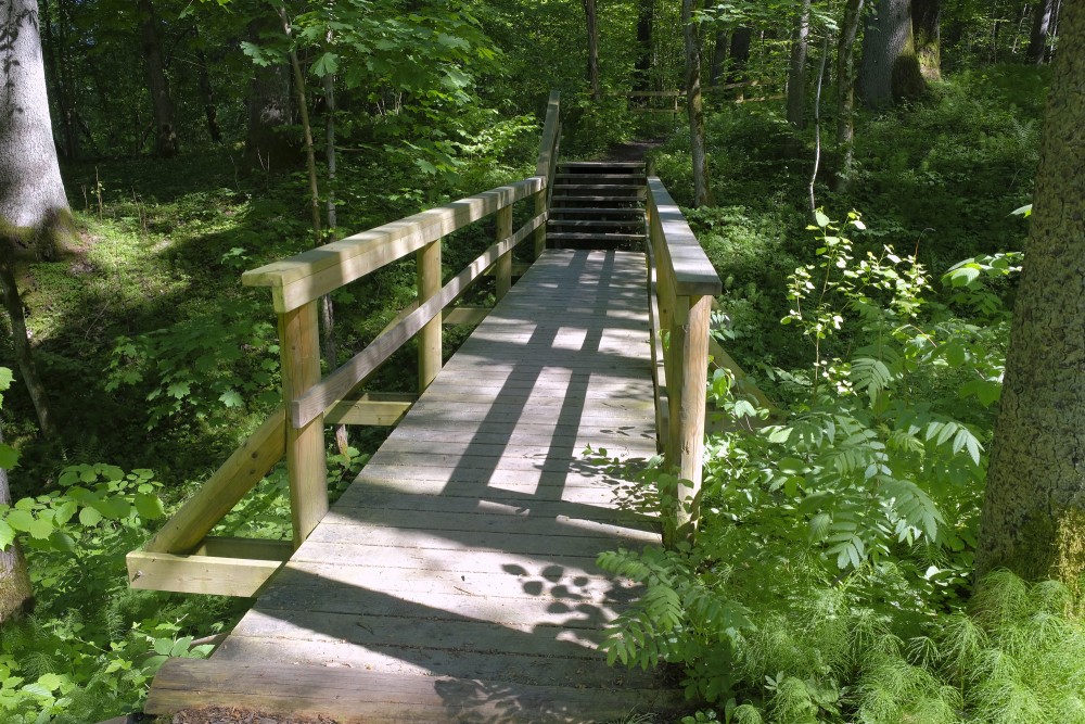 Mednieku spēka taka, Inčukalns