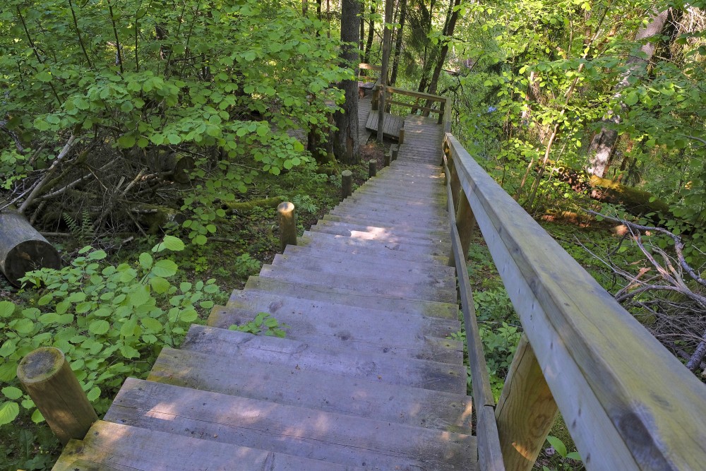 Kāpnes mednieku spēka takā Inčukalnā