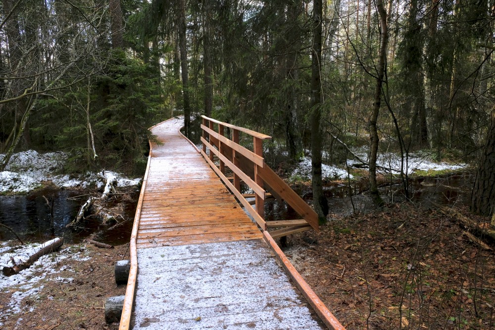 Kalnansi Bog Trail in Winter