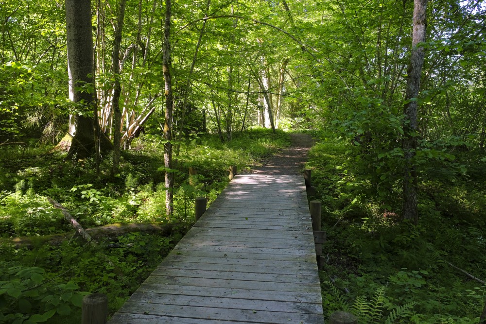 Mednieku spēka taka Inčukalnā Mednieku spēka taka Inčukalnā