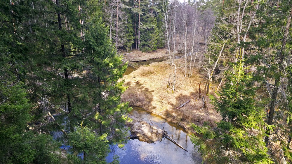 Scenic view of Rivas river bend from a high vantage point in early spring