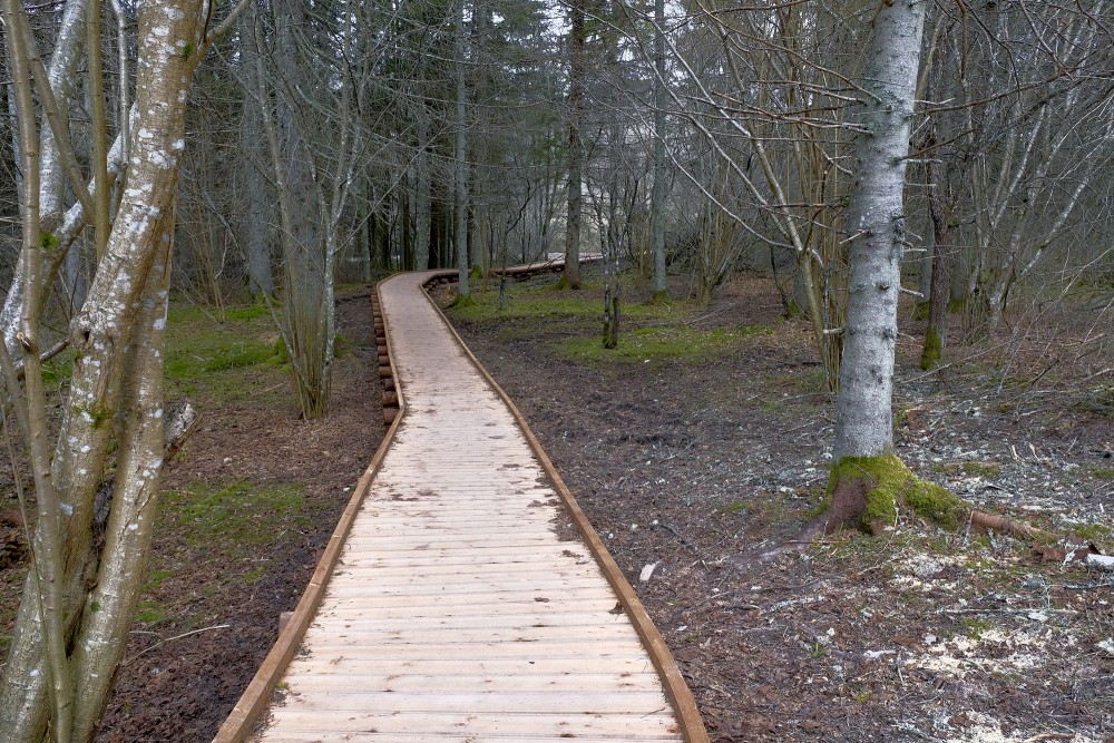 Čužu purva dabas taka