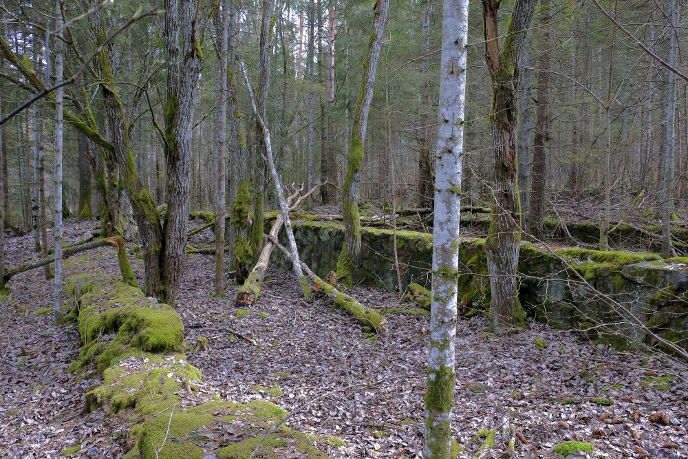 Čužu bog Trail