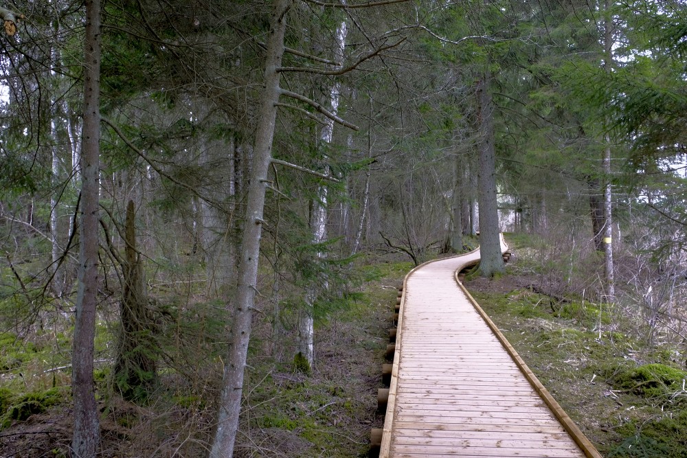 Čužu Mire Nature Trail