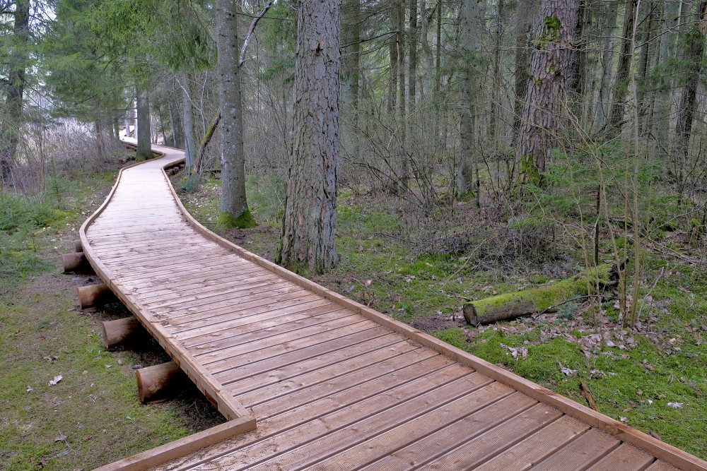 Labiekārtota Čužu purva pastaigu taka