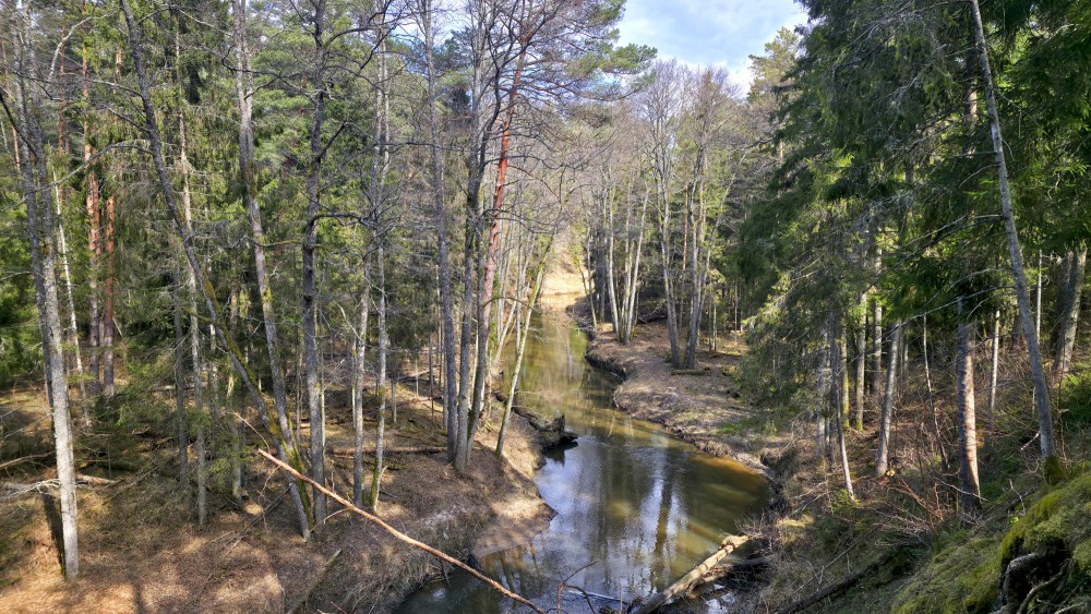 View of Rivas river flow and scenic valley from a high riverbank