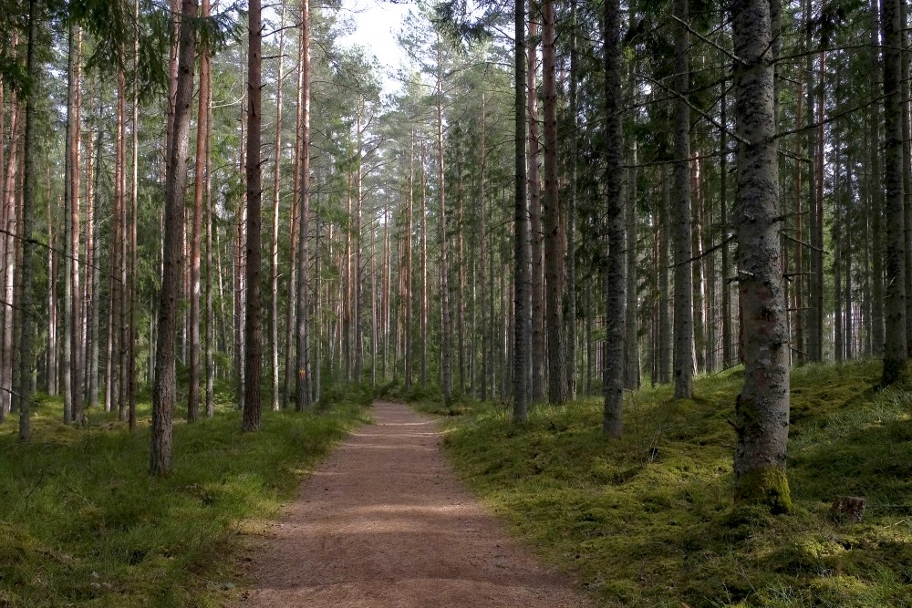 Nature Trail Viesatas Upesloki