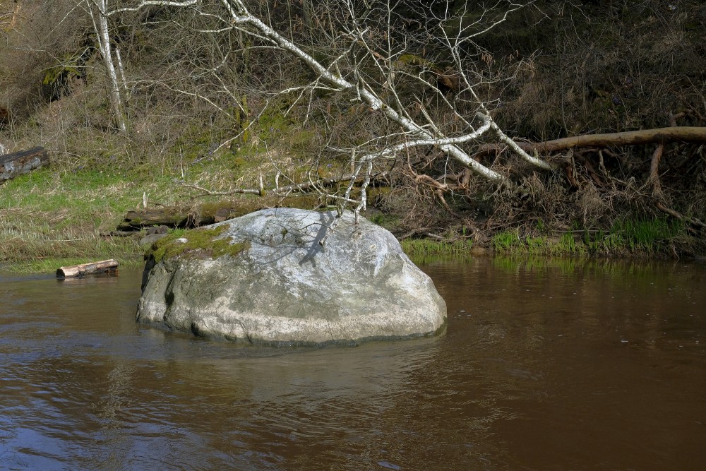 A stone in the Viesata River