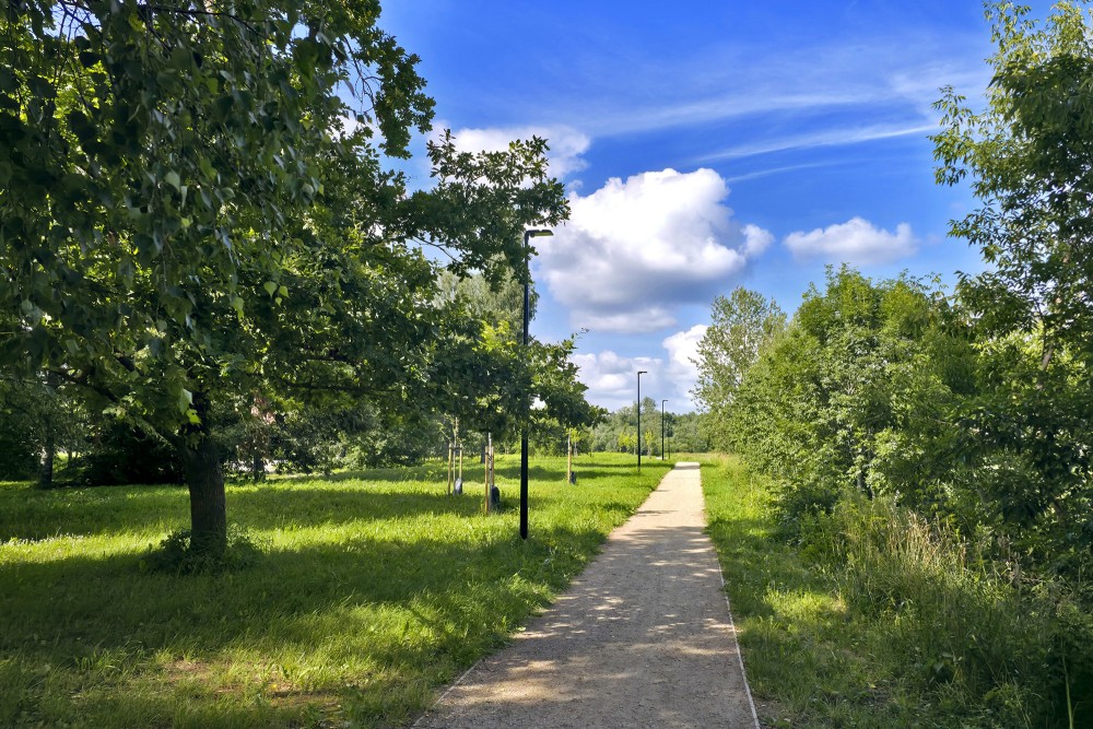 Walkway path and street lights in green park area in Kuldiga