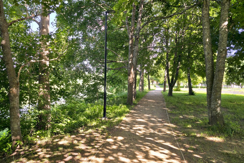 Light and shadow on walking path through tree alley in Kuldiga