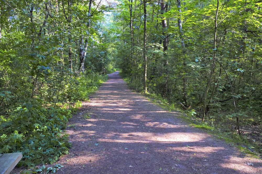 Mangaļsalas pastaigu taka