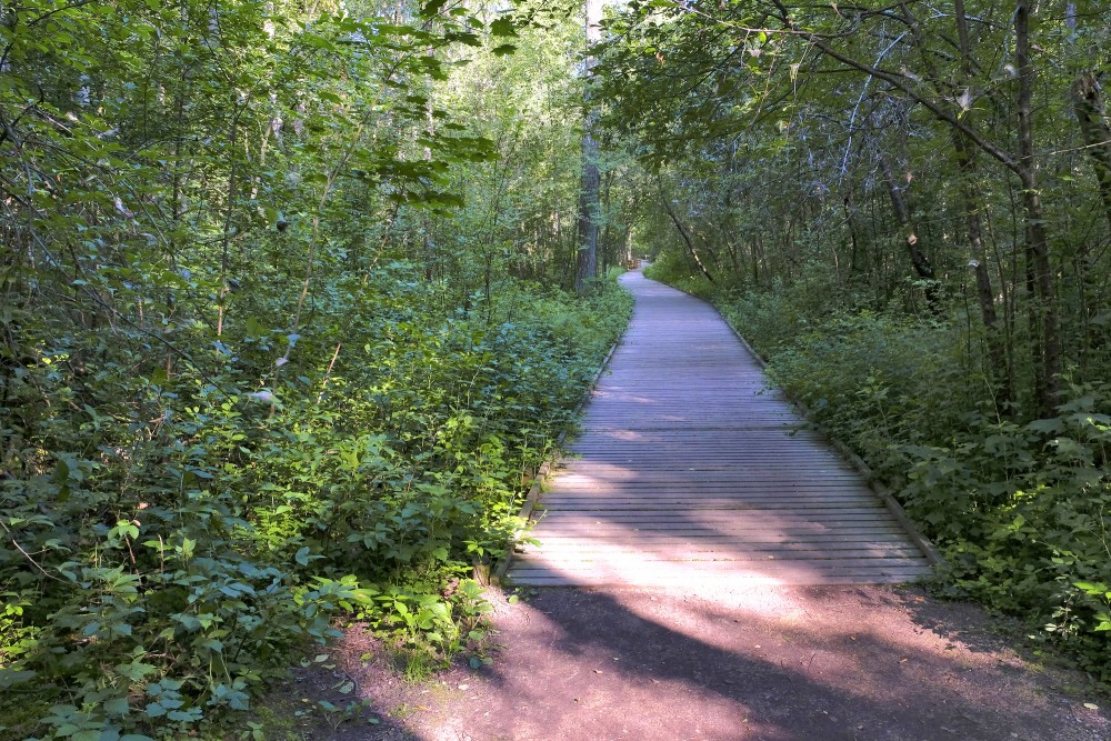 Mangaļsalas pastaigu taka