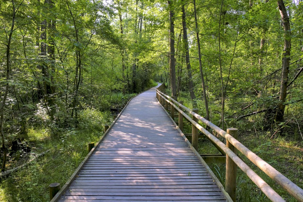 Mangaļsalas pastaigu taka