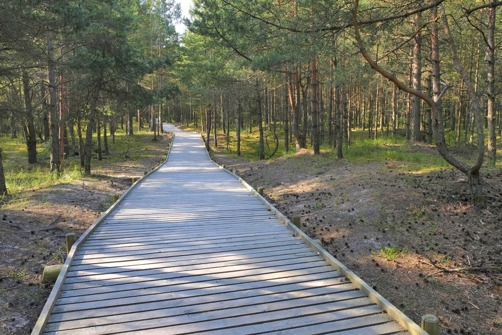 Mangaļsalas pastaigu taka