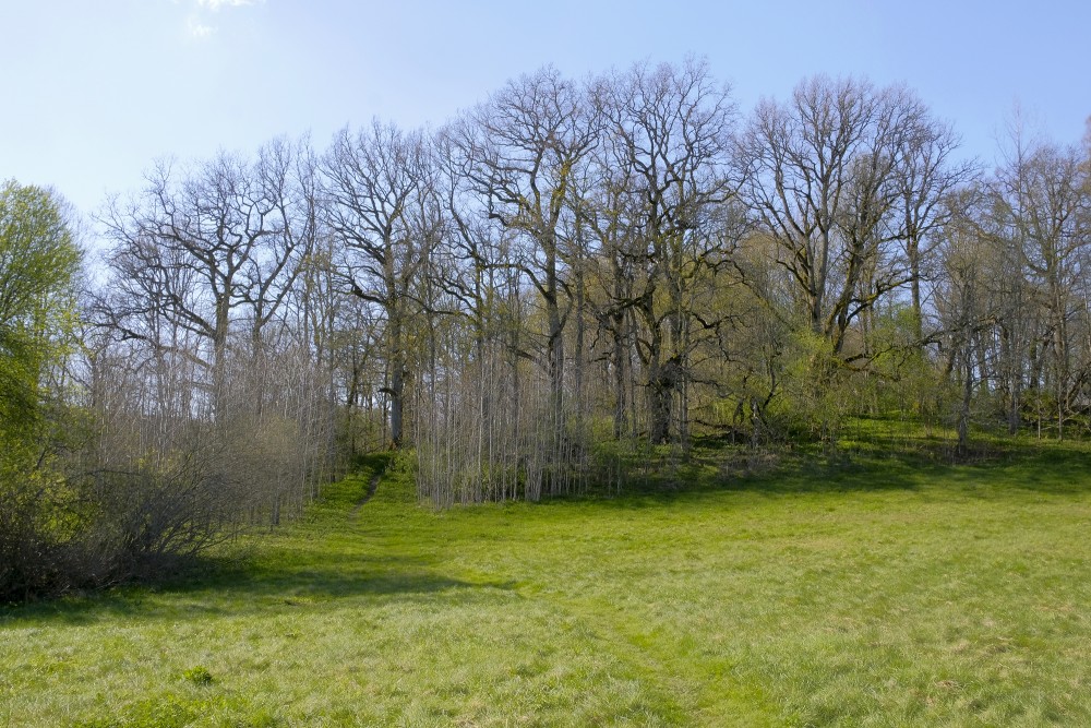 Embūte Hillfort in Spring