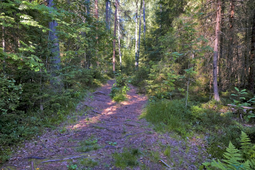 Purezera dabas taka Purezera dabas taka