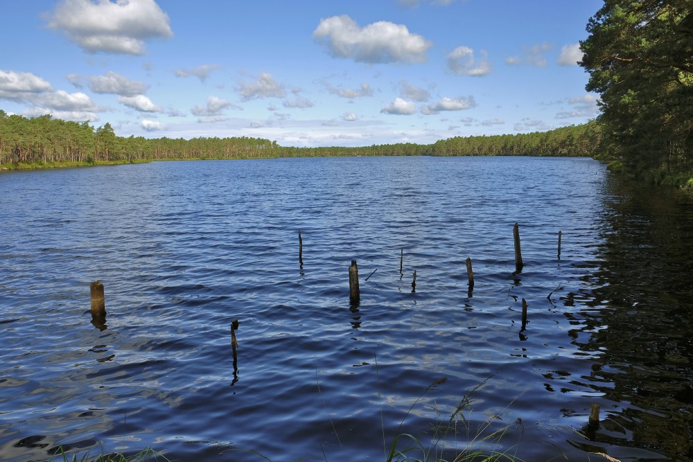 Purezers Lake Landscape