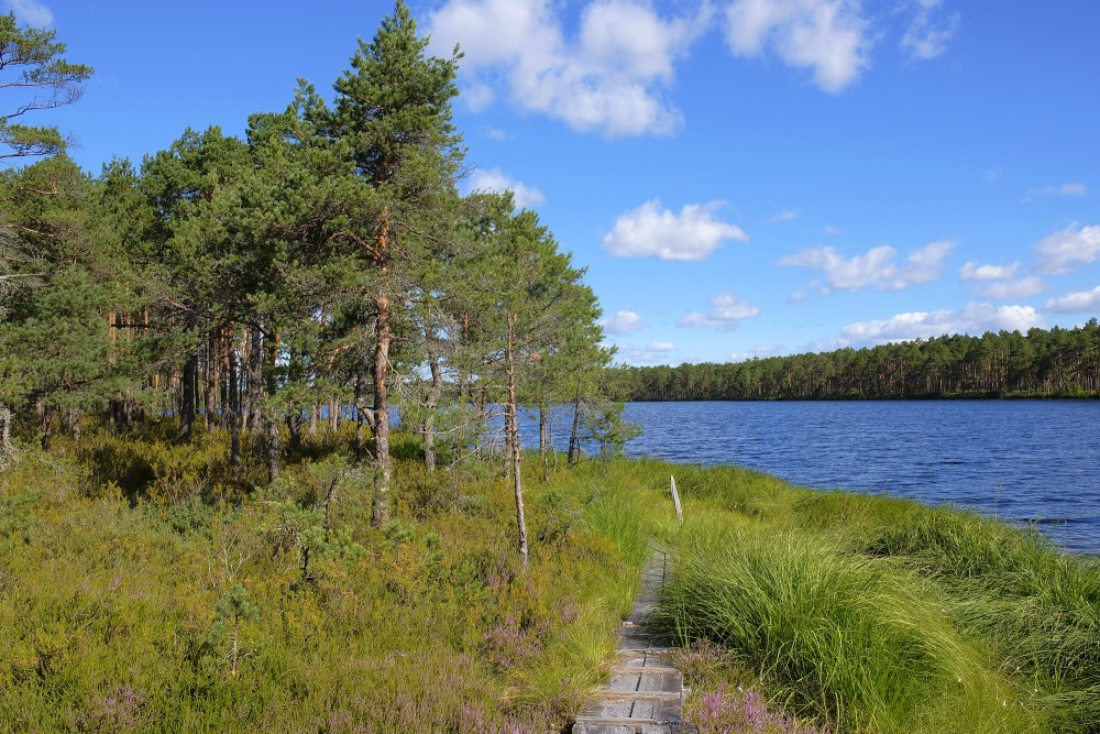 Purezers Lake Nature Trail