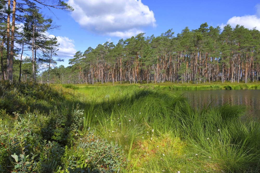 Ejot pa Purezera dabas taku