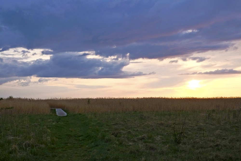 Walking Along The Randu Meadow Trail