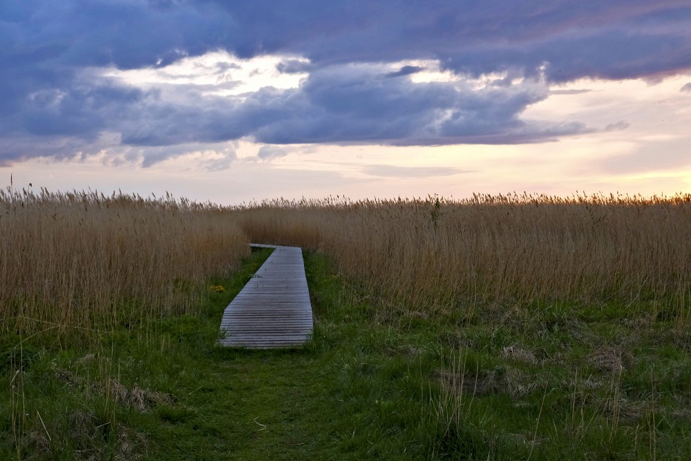 Walking Along The Randu Meadow Trail