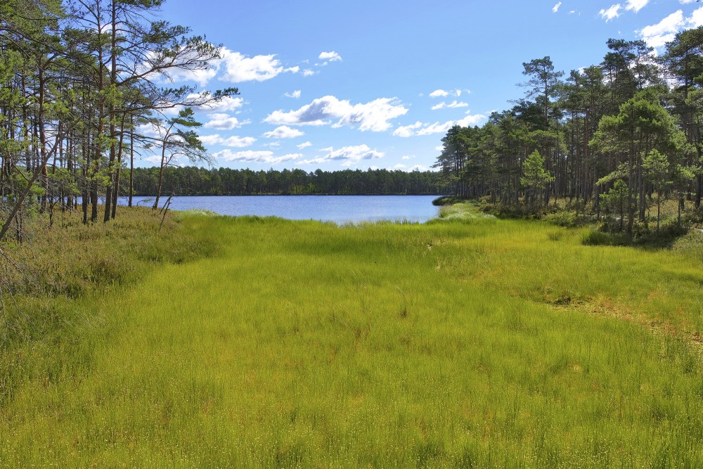 Ejot pa Purezera dabas taku