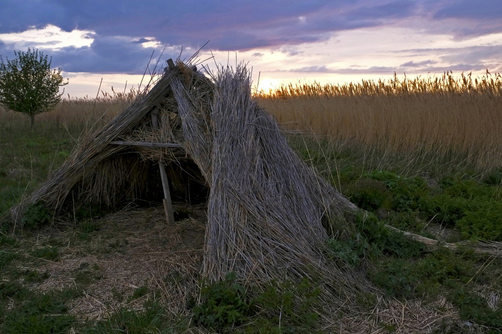 Reed Hut In Randu Meadows