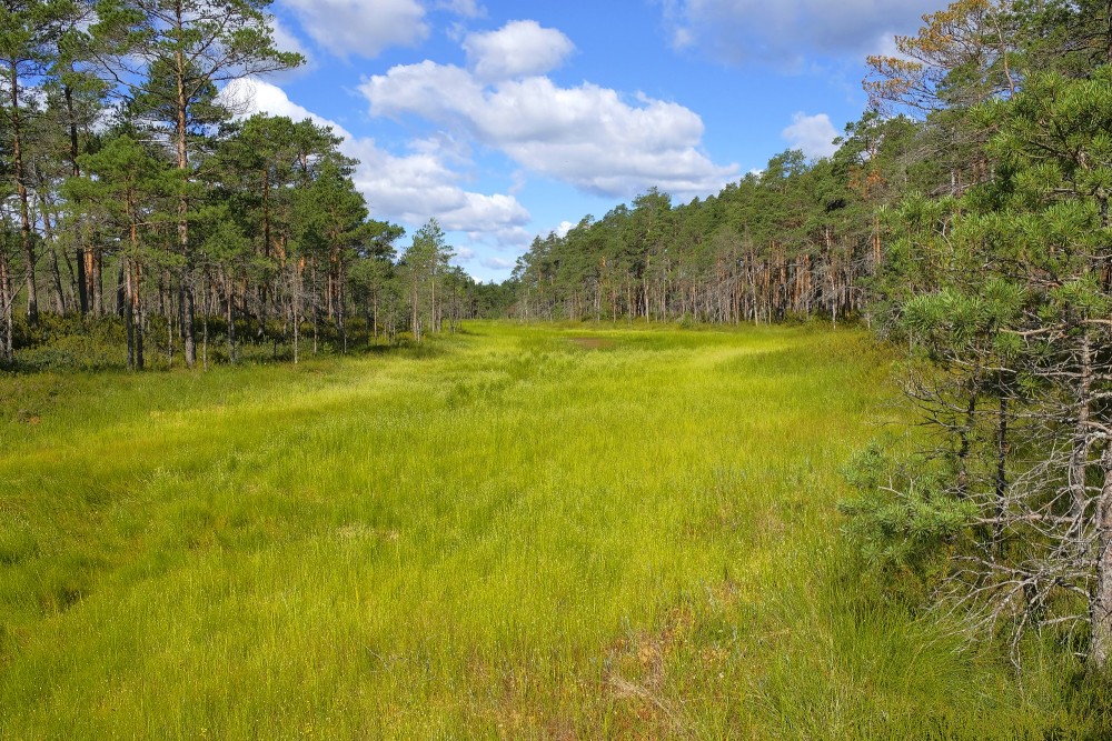 Ejot pa Purezera dabas taku