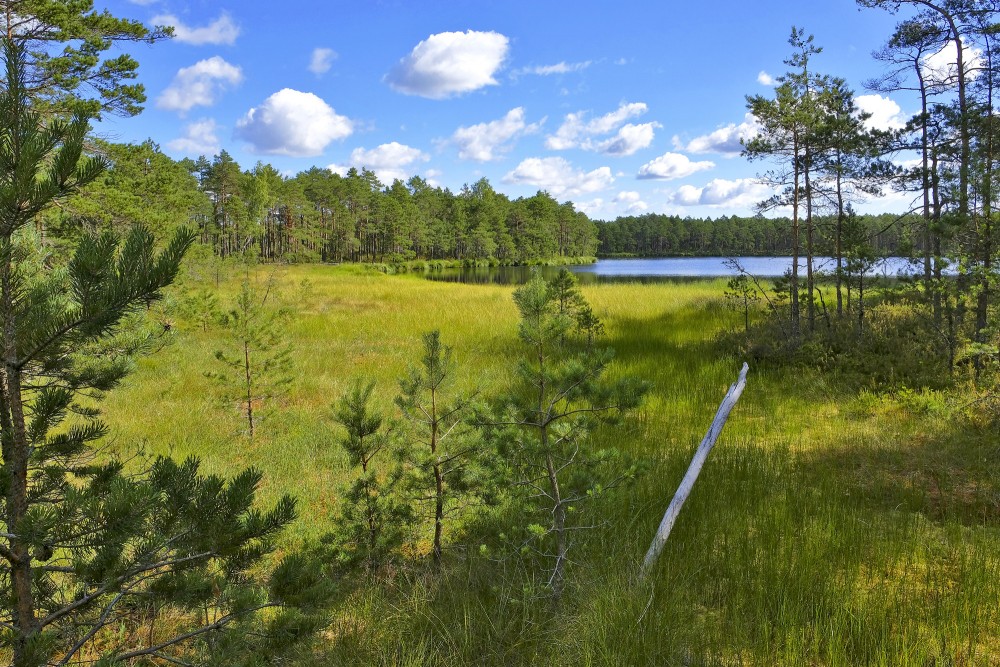 Ejot pa Purezera dabas taku