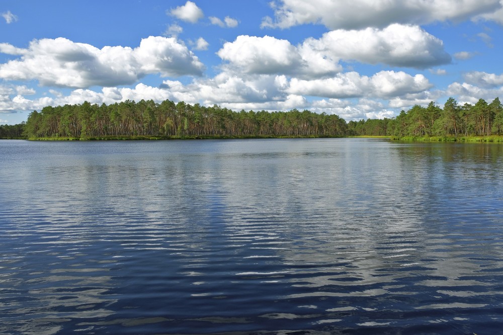 Purezers Lake