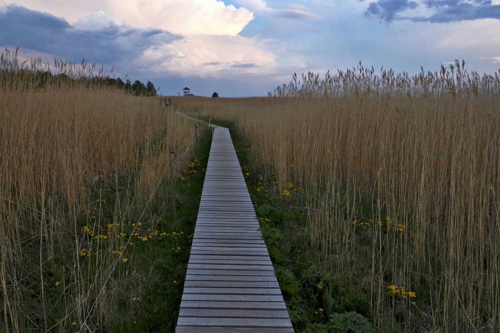 Walking Along The Randu Meadow Trail