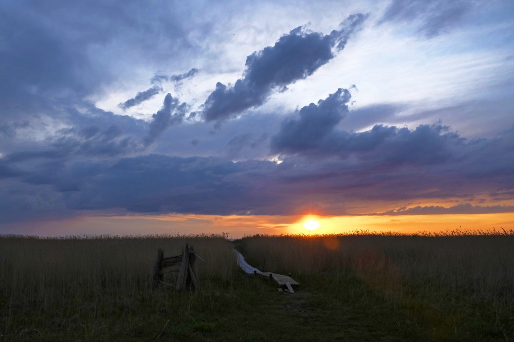 Sunset In Randu Meadows