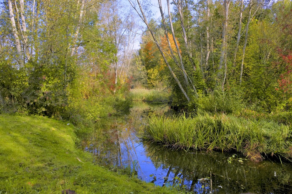 Auces upe pie Bēnes Auces upe pie Bēnes