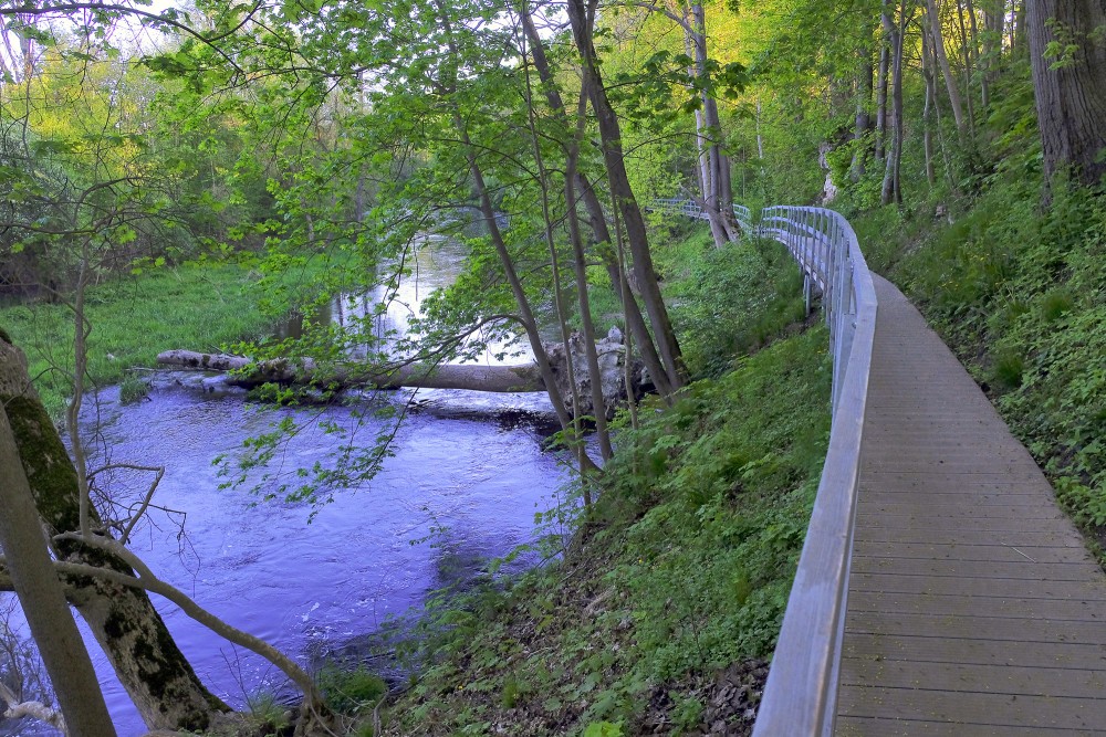 Dievdārziņa taka (Iecava)