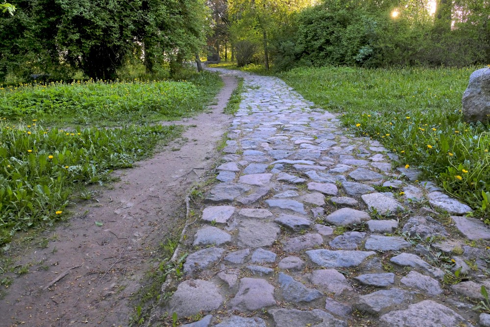 Dievdārziņš Dievdārziņš