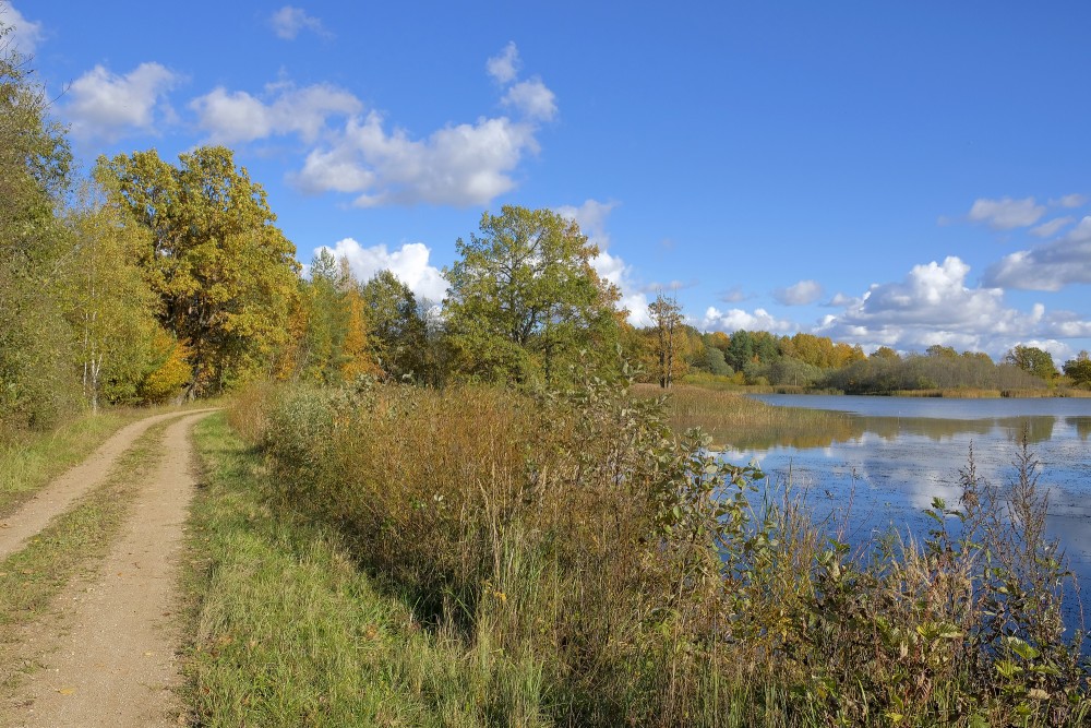 Sātiņi ponds, Landscape