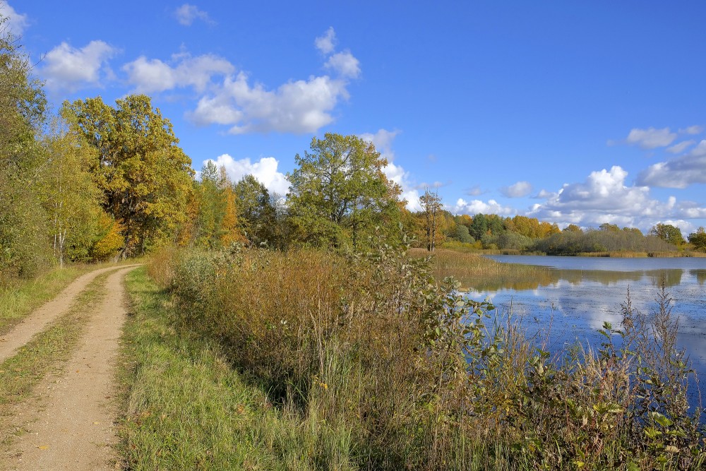 Sātiņu dīķi Sātiņu dīķi