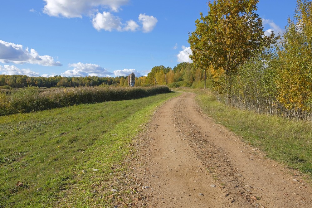 The Landscape at Sātiņi Ponds