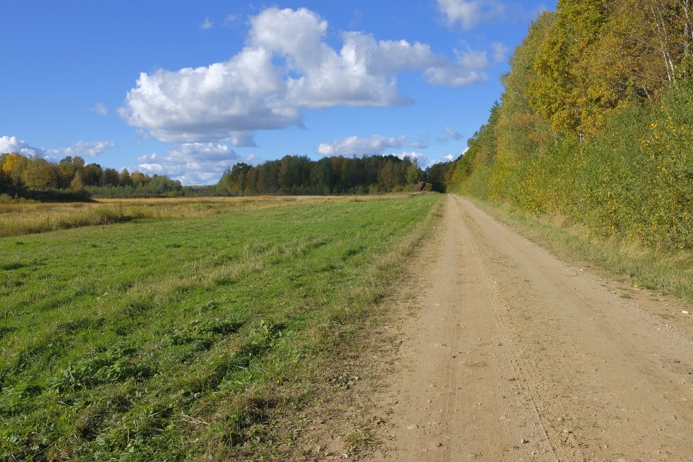 The Landscape at Sātiņi Ponds